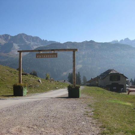 Ferienwohnung Chalet Francesca Patascoss Madonna Exterior foto